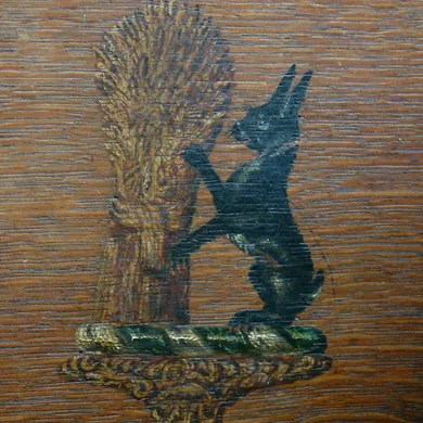 Shakerly's Black Rabbit
